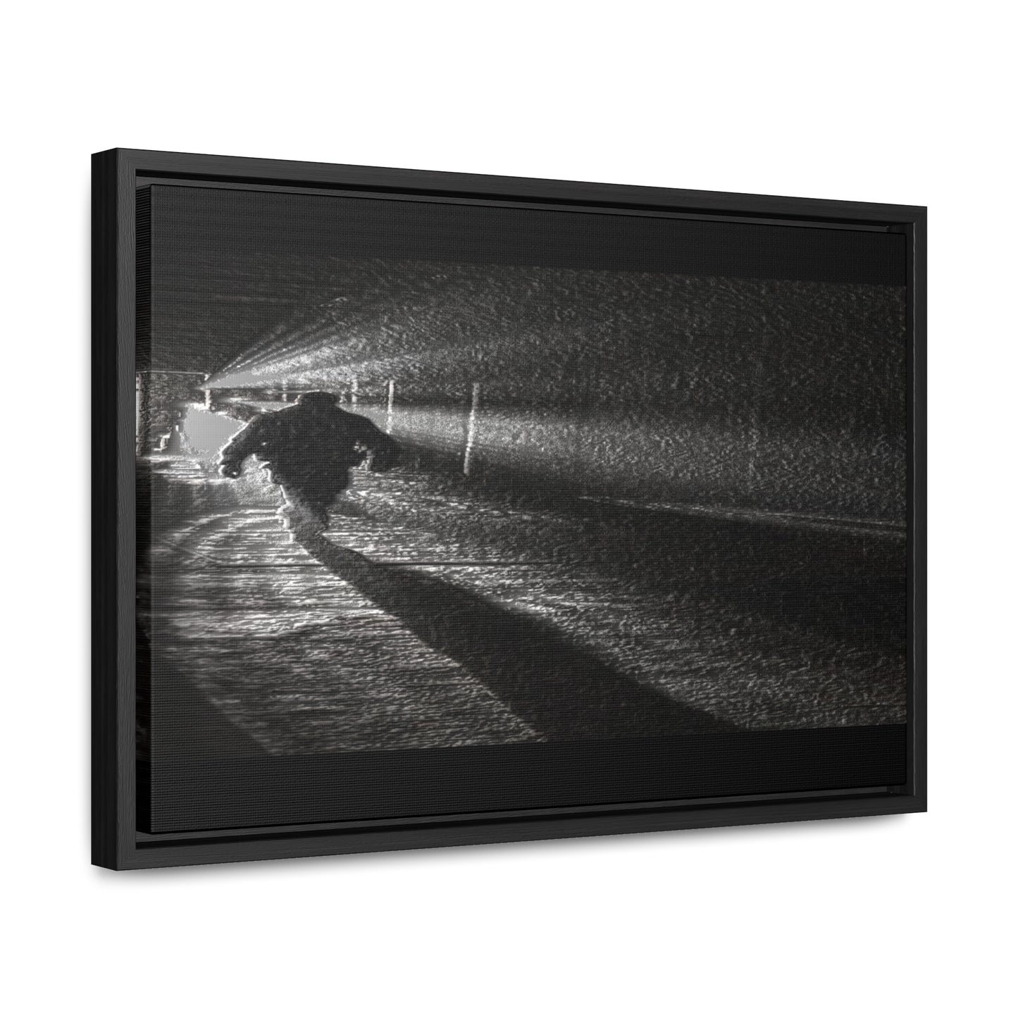 Gallery Canvas Wraps, Horizontal Frame