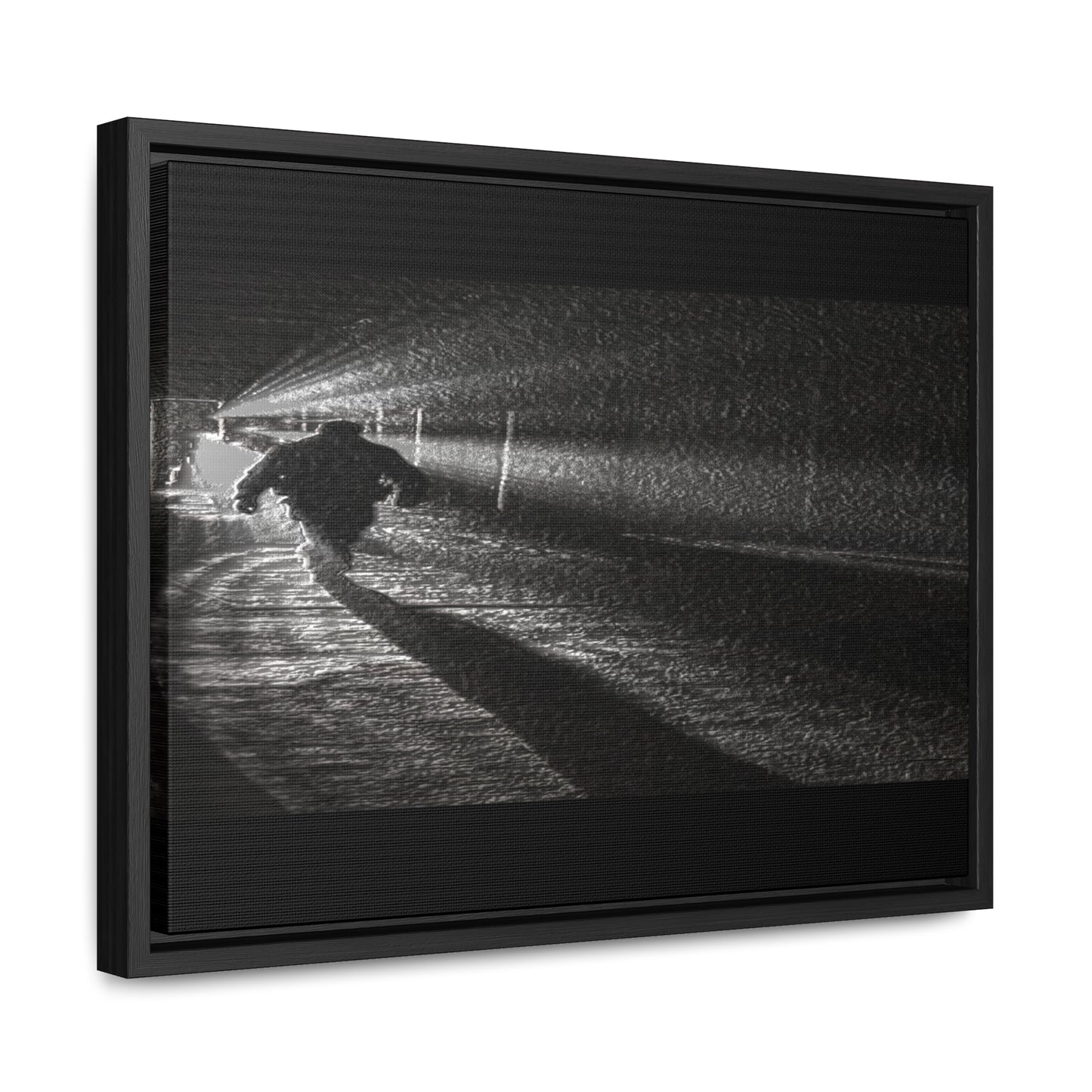 Gallery Canvas Wraps, Horizontal Frame