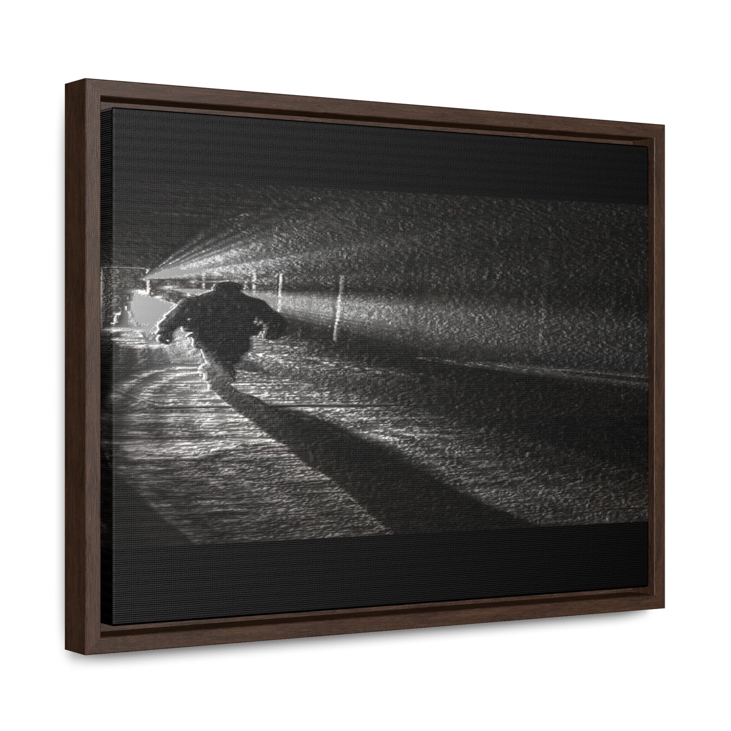 Gallery Canvas Wraps, Horizontal Frame