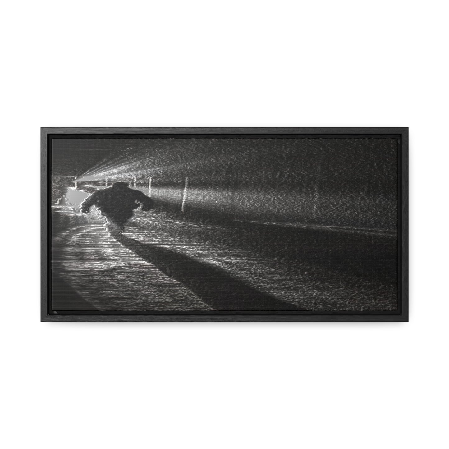 Gallery Canvas Wraps, Horizontal Frame