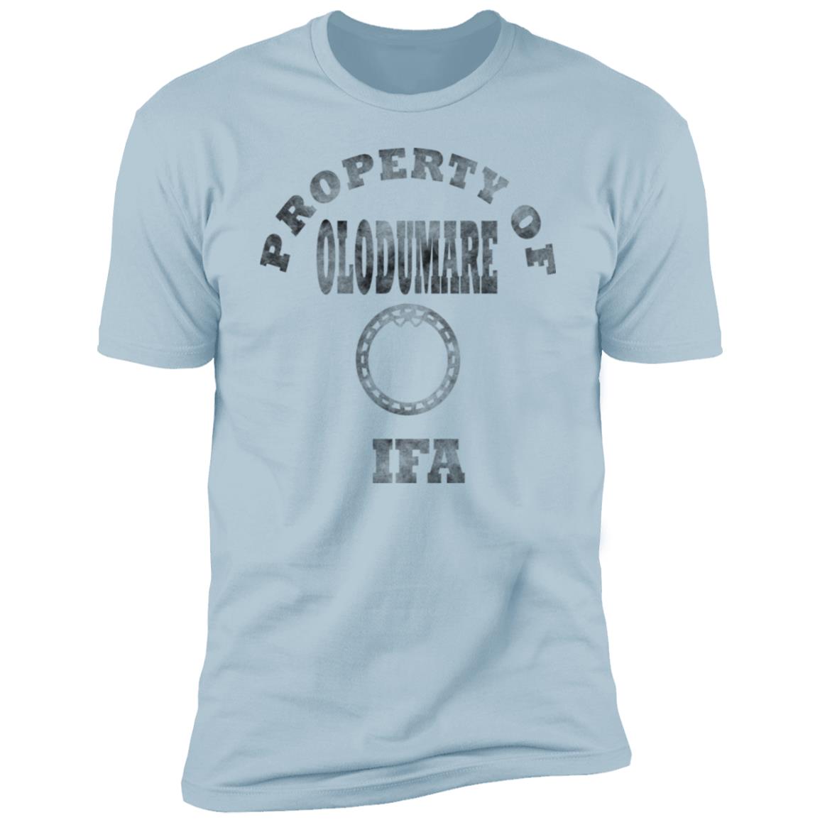 PROPERTY OF olodumare1 blk